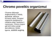 Sunkiųjų metalų poveikis  žmogaus organizmui 12 puslapis