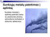 Sunkiųjų metalų poveikis  žmogaus organizmui 3 puslapis