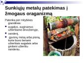 Sunkiųjų metalų poveikis  žmogaus organizmui 4 puslapis
