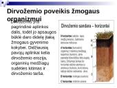 Sunkiųjų metalų poveikis  žmogaus organizmui 6 puslapis