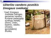 Sunkiųjų metalų poveikis  žmogaus organizmui 8 puslapis