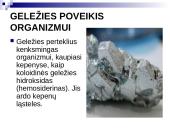 Sunkiųjų metalų poveikis  žmogaus organizmui 10 puslapis