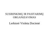 Susirinkimų ir pasitarimų organizavimas