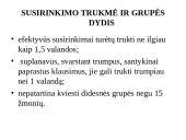 Susirinkimų ir pasitarimų organizavimas 5 puslapis
