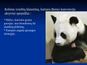 Svarbiausi teisiniai bioįvairovės išsaugojimo ir tvaraus naudojimo dokumentai 12 puslapis