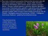 Svarbiausi teisiniai bioįvairovės išsaugojimo ir tvaraus naudojimo dokumentai 19 puslapis