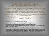 Sveikai ateičiai sveiki maisto produktai 2 puslapis