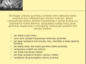 Sveikai ateičiai sveiki maisto produktai 3 puslapis