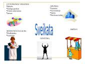 Sveikata ir sveikatos įstatymas 3 puslapis