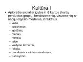 Sveikatą įtakojantys veiksniai 17 puslapis