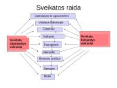 Sveikatą įtakojantys veiksniai 3 puslapis
