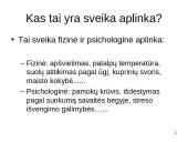 Sveikų mokyklų projektai. Stiprinančių mokyklų tinklas 11 puslapis