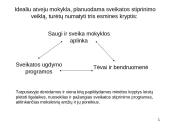 Sveikų mokyklų projektai. Stiprinančių mokyklų tinklas 17 puslapis