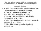 Sveikų mokyklų projektai. Stiprinančių mokyklų tinklas 19 puslapis