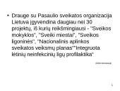 Sveikų mokyklų projektai. Stiprinančių mokyklų tinklas 8 puslapis