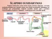 Šalinimo organai 13 puslapis