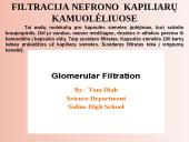 Šalinimo organai 14 puslapis