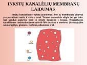 Šalinimo organai 15 puslapis