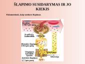Šalinimo organai 16 puslapis