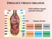 Šalinimo organai 19 puslapis