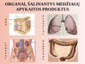 Šalinimo organai 3 puslapis
