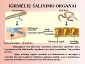 Šalinimo organai 6 puslapis