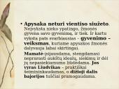 Šatrijos Raganos kūryba 19 puslapis