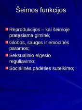 Šeima kaip socialinis institutas 3 puslapis