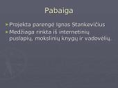 Kas yra šiltnamio efektas? 12 puslapis