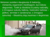 Šiltnamio efektas - dujos griaunančios gamtos pusiausvyrą 17 puslapis