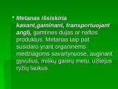 Šiltnamio efektas - dujos griaunančios gamtos pusiausvyrą 18 puslapis