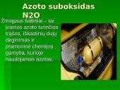 Šiltnamio efektas - dujos griaunančios gamtos pusiausvyrą 19 puslapis