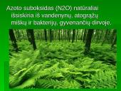 Šiltnamio efektas - dujos griaunančios gamtos pusiausvyrą 20 puslapis