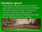 Šiltnamio efektas - dujos griaunančios gamtos pusiausvyrą 8 puslapis