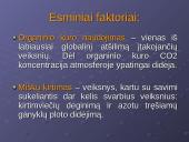 Šiltnamio efektas. Priežastinių ryšių diagrama 7 puslapis