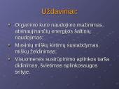 Šiltnamio efektas. Priežastinių ryšių diagrama 9 puslapis
