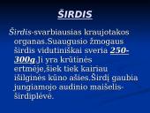 Širdis ir Kraujagyslės 2 puslapis
