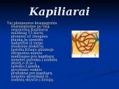 Širdis ir Kraujagyslės 11 puslapis