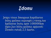 Širdis ir Kraujagyslės 13 puslapis