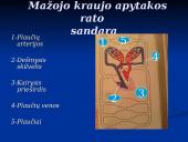 Širdis ir Kraujagyslės 17 puslapis