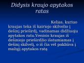 Širdis ir Kraujagyslės 20 puslapis