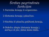 Širdis ir Kraujagyslės 3 puslapis