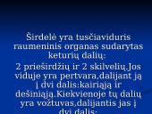 Širdis ir Kraujagyslės 4 puslapis