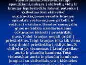 Širdis ir Kraujagyslės 6 puslapis