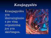 Širdis ir Kraujagyslės 8 puslapis