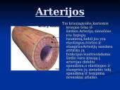 Širdis ir Kraujagyslės 9 puslapis