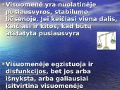 Šiuolaikinės sociologijos teorijos 11 puslapis