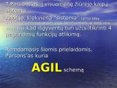 Šiuolaikinės sociologijos teorijos 14 puslapis