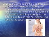 Šiuolaikinės sociologijos teorijos 7 puslapis