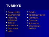 Šunų veislės 2 puslapis